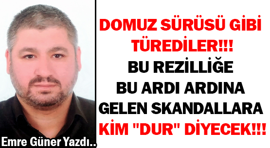 DOMUZ SÜRÜSÜ GİBİ TÜREDİLER!!! </br>BU REZİLLİĞE BU ARDI ARDINA GELEN </br>SKANDALLARA KİM 